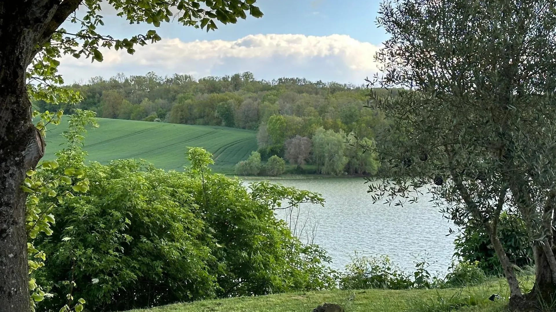 Domaine Du Lac De Montpitol Verfeil  Holiday home Verfeil (Haute-Garonne)