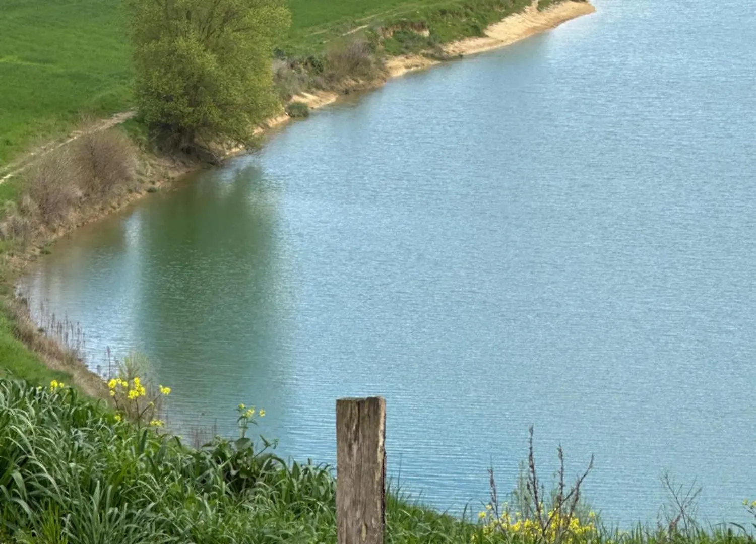 Holiday home Domaine Du Lac De Montpitol Verfeil