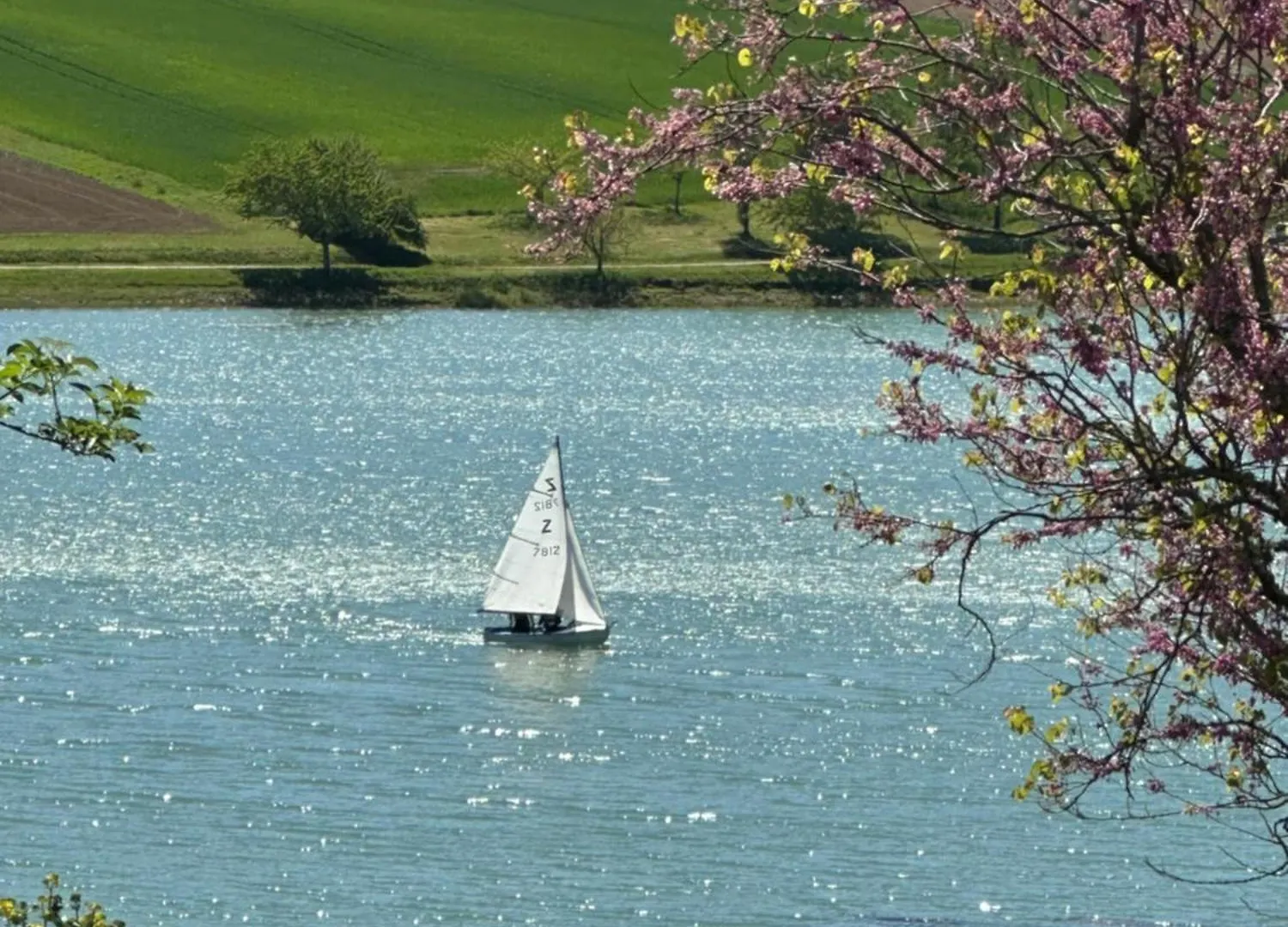 Domaine Du Lac De Montpitol Verfeil  France